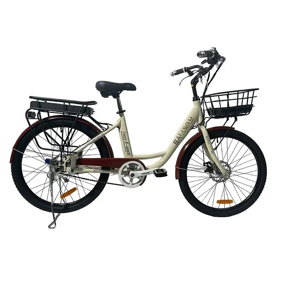 Xe Đạp Trợ Lực Điện Sallway Lady