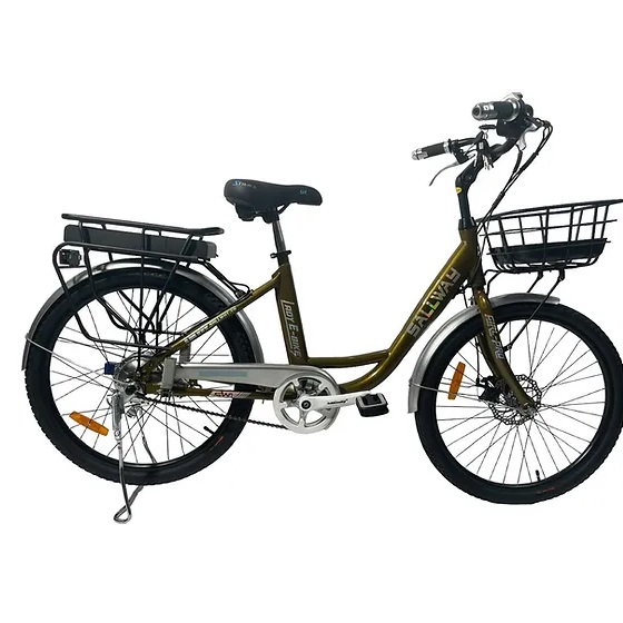 Xe Đạp Trợ Lực Điện Sallway Lady
