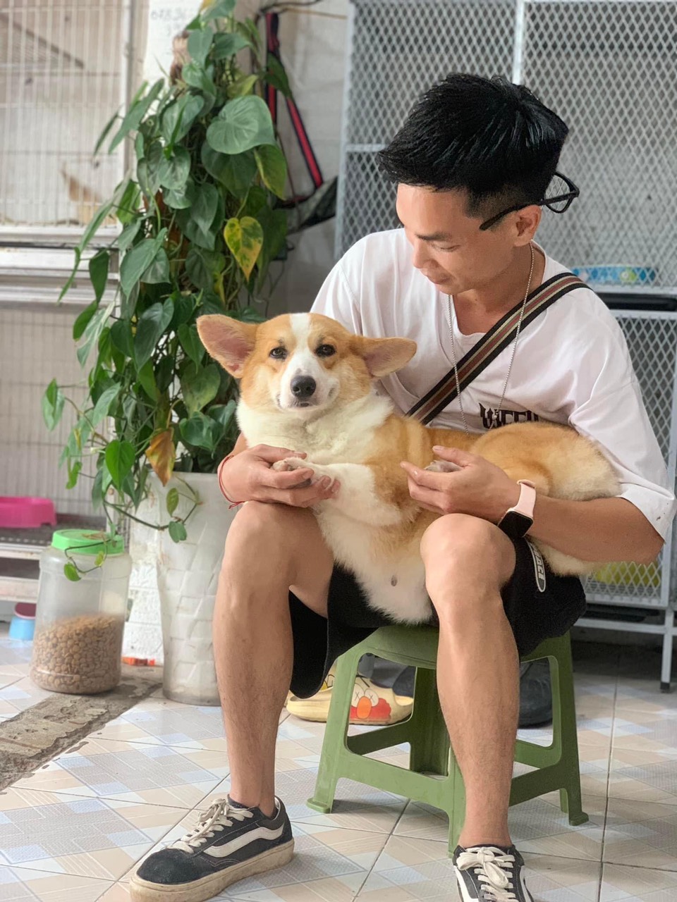 Trông giữ thú cưng