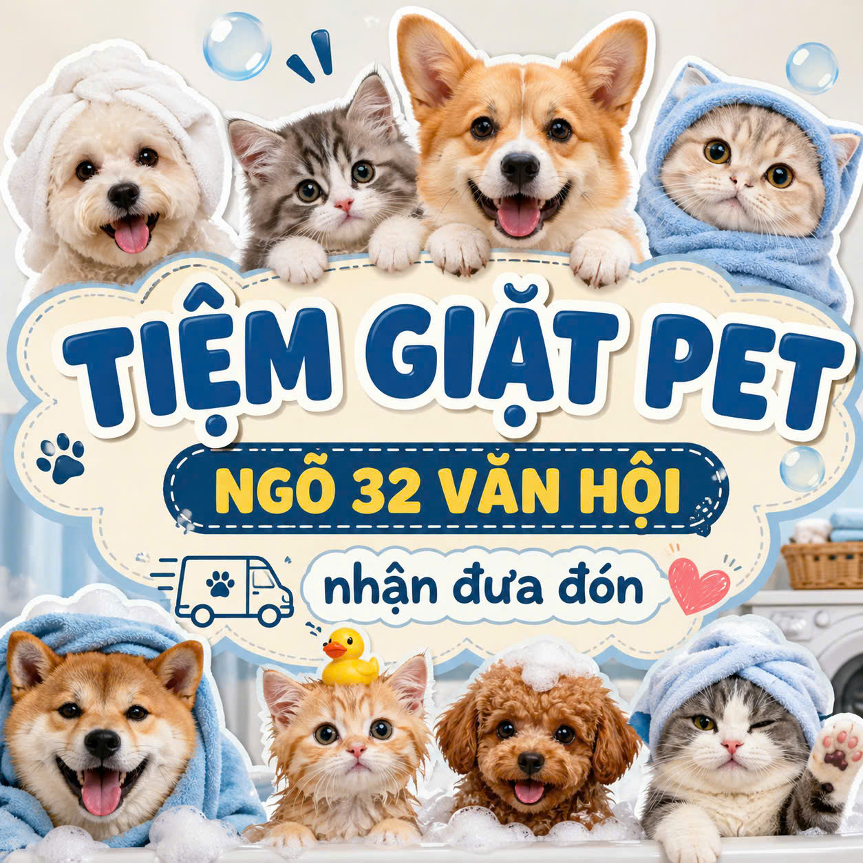 Tắm/Cạo Lông/Cắt tỉa chỉ từ 69k !.