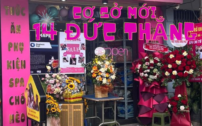 DỊCH VỤ GROOMING SPA TẠI PET&JOI