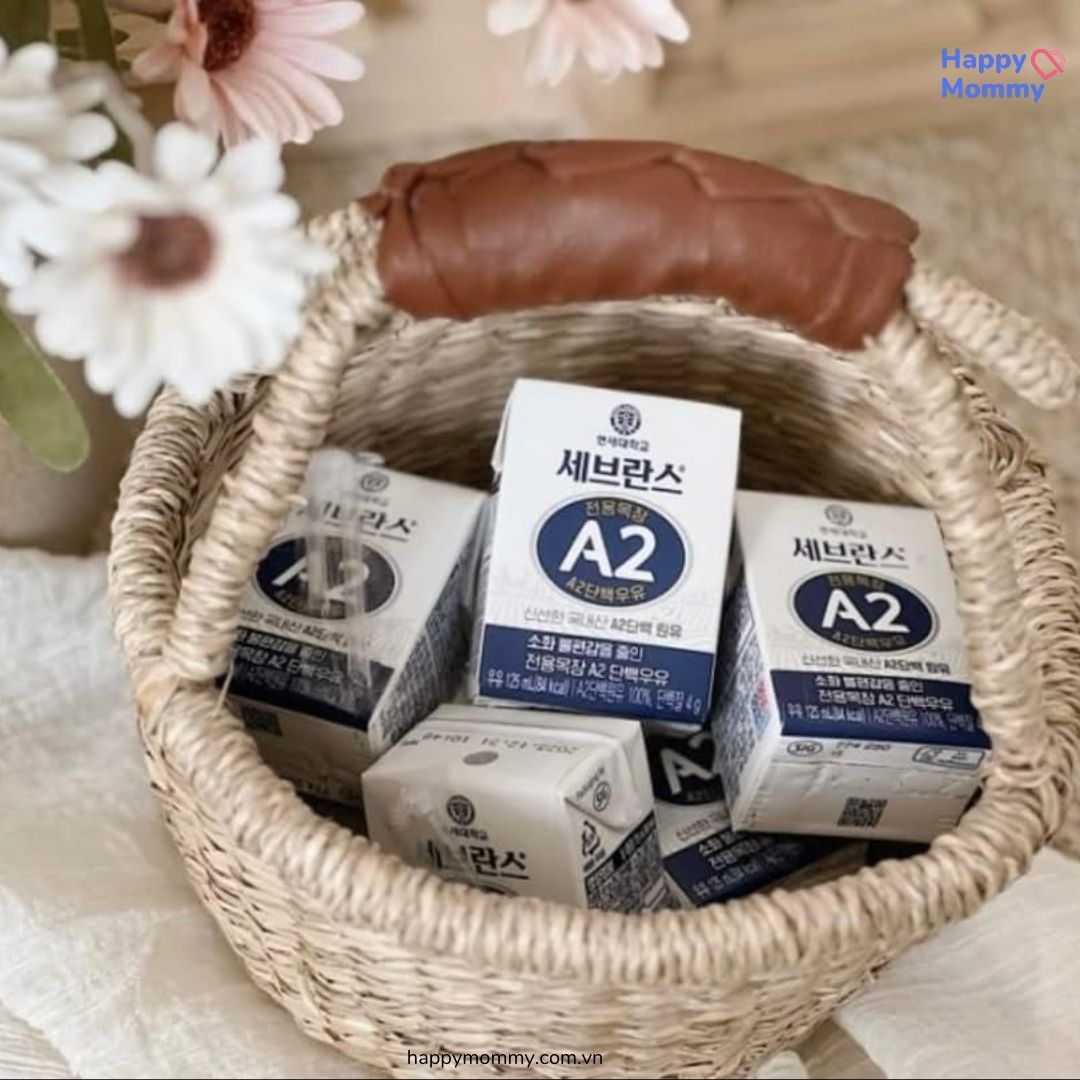 Sữa Tươi Đạm A2 Yonsei Hàn Quốc Hộp 125ml thùng 24 hộp