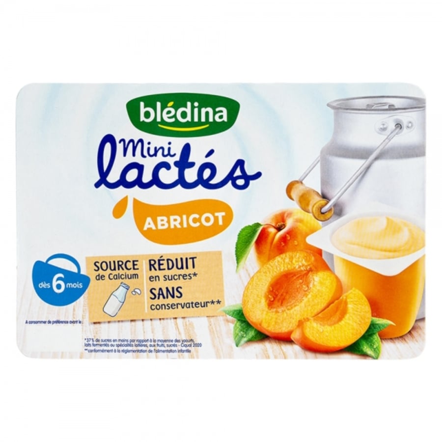 Sữa Chua Bledina Mini Lactes Pháp, 6 Hộp X 55G (6-36M)