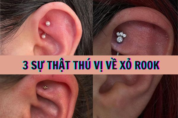 Xỏ Rook và 3 sự thật thú vị có thể bạn chưa biết