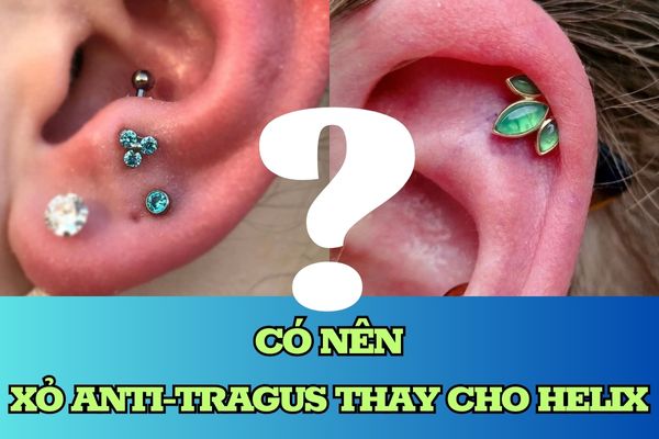 xỏ tai anti tragus và xỏ helix