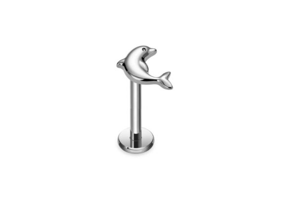Bông tai hình cá heo 1.2*10mm - Thép không gỉ