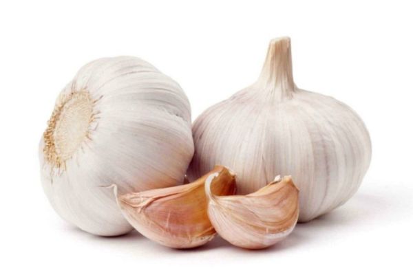 Nhét tỏi vào lỗ xỏ khuyên được không?