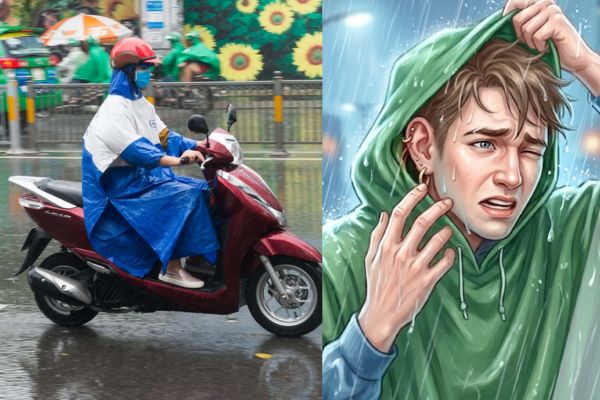 ok365 đăng nhập mùa nào cũng được nếu chăm sóc đúng cách - ok365n