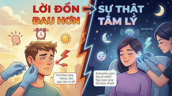Thực hư 3 lời đồn ok365 đăng nhập buổi tối: Đừng để bị lừa!
