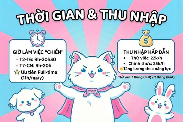 thời gian làm việc và thu nhập tại TinyBox