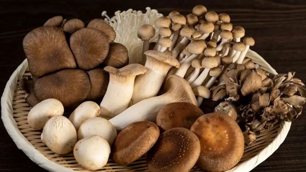 Top 9 thực phẩm giúp bạn tăng đề kháng bảo vệ lỗ xỏ khuyên