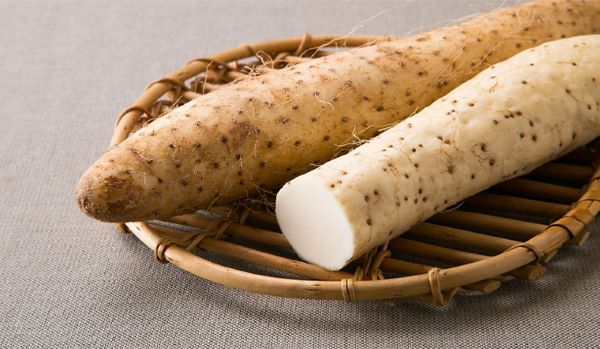 Top 9 thực phẩm giúp bạn tăng đề kháng bảo vệ lỗ xỏ khuyên
