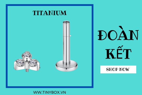 Trang sức xỏ khuyên 