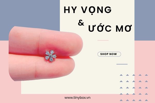 Trang sức xỏ khuyên 