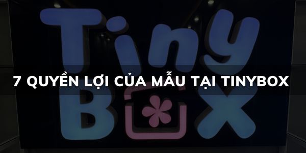 Tuyển mẫu xỏ khuyên cho tất cả vị trí 