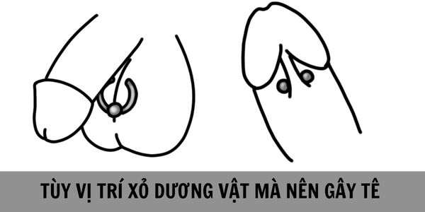 Xỏ khuyên vị trí nào đau nhất  - xỏ khuyên vùng kín