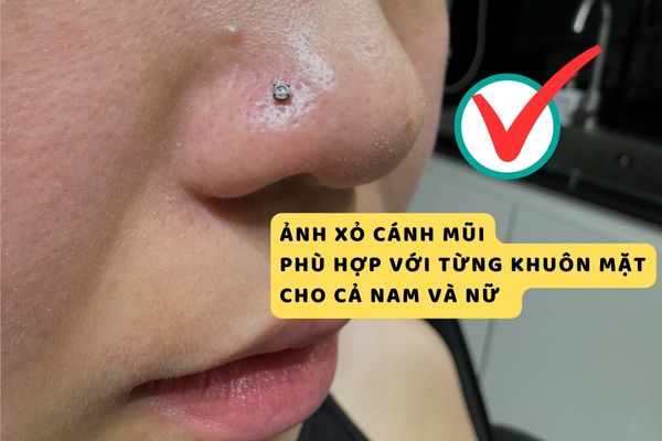 ok365 đăng nhập cánh mũi