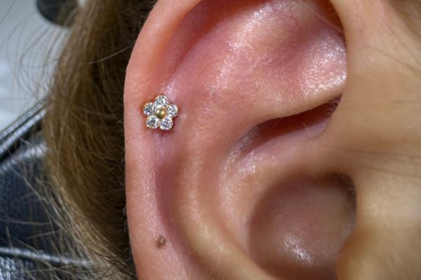Xỏ khuyên sụn tai nên thực hiện tối đa bao nhiêu lỗ?