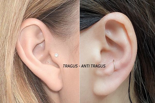 Tổng hợp các vị trí xỏ khuyên tai đẹp - xỏ khuyên tai vị trí tragus