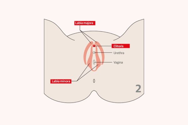 Xỏ khuyên vùng kín nữ ở đâu uy tín TPHCM?