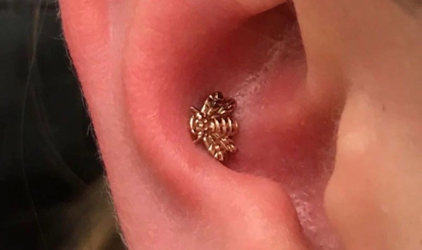 Xỏ lỗ Conch có đau không