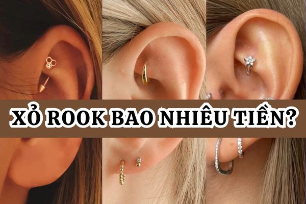 Xỏ Rook bao nhiêu tiền?