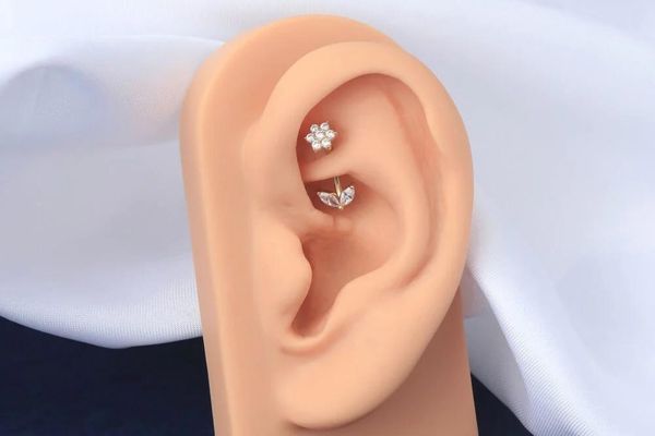Xỏ Rook bao nhiêu tiền?