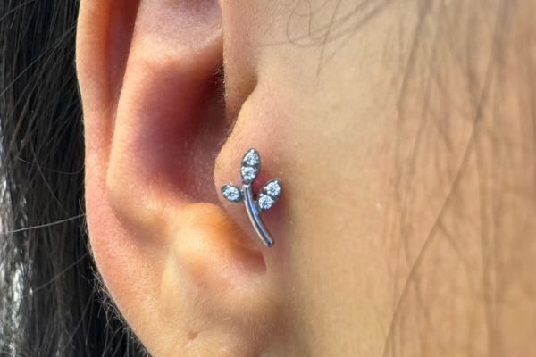 xỏ sụn tai - xỏ tragus