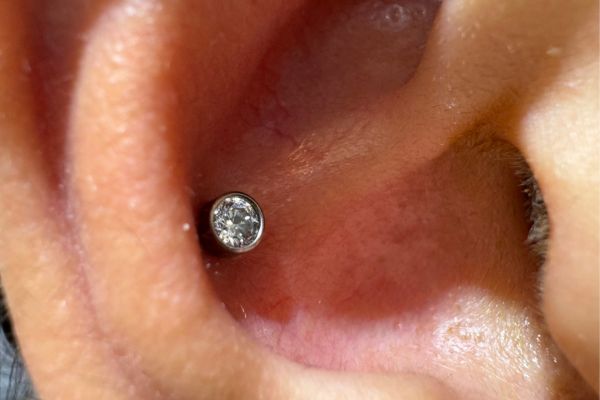 xỏ sụn tai - xỏ conch