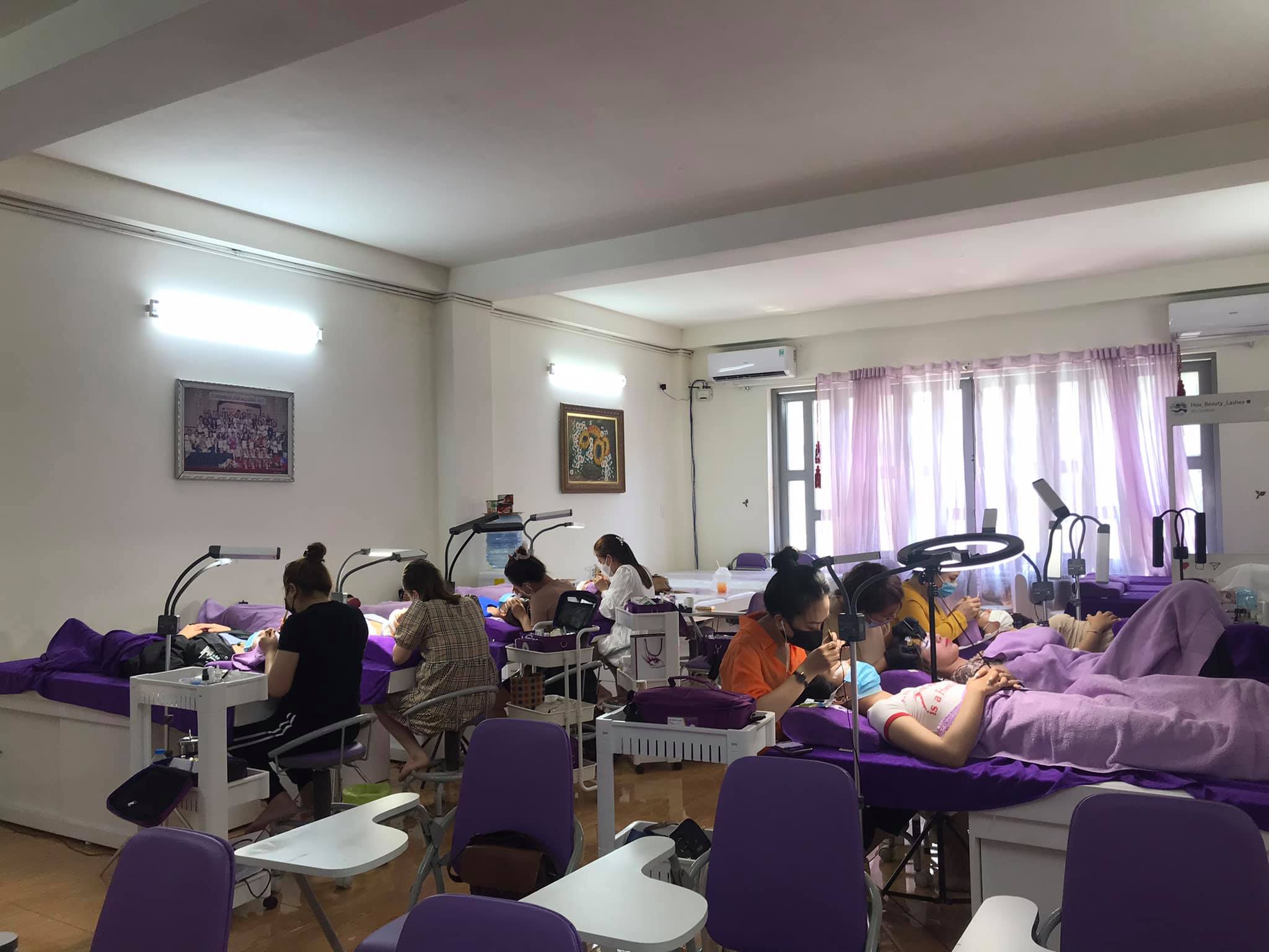 Lịch sử ngành mi