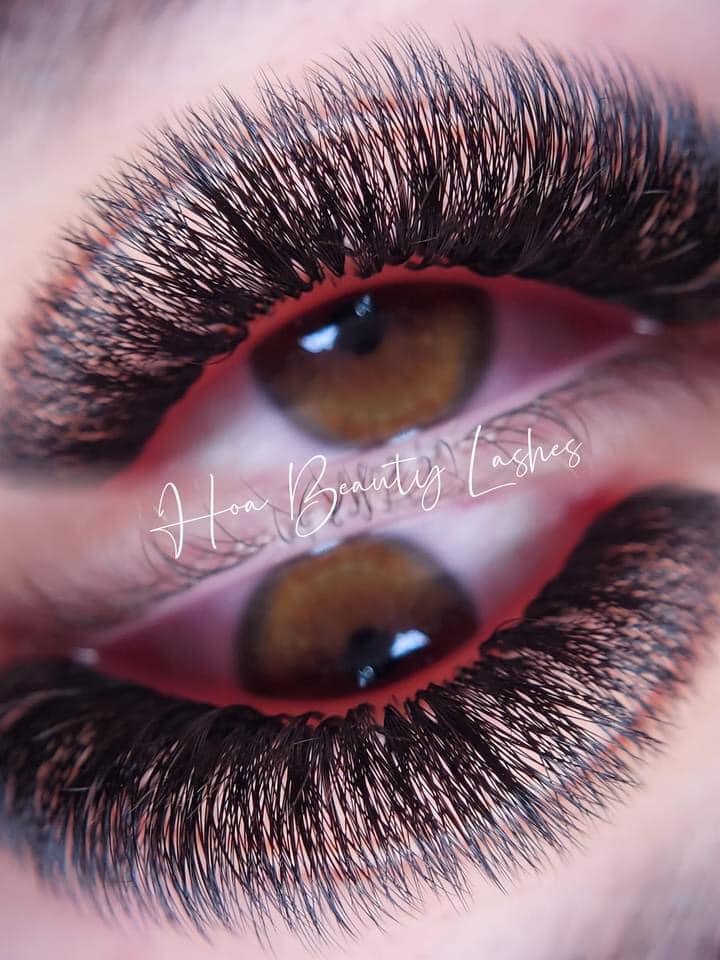 Nối Mi Chuyên Nghiệp Hay Nối Mi Tại Nhà: Lựa Chọn Nào Tốt Hơn Cho Bạn?