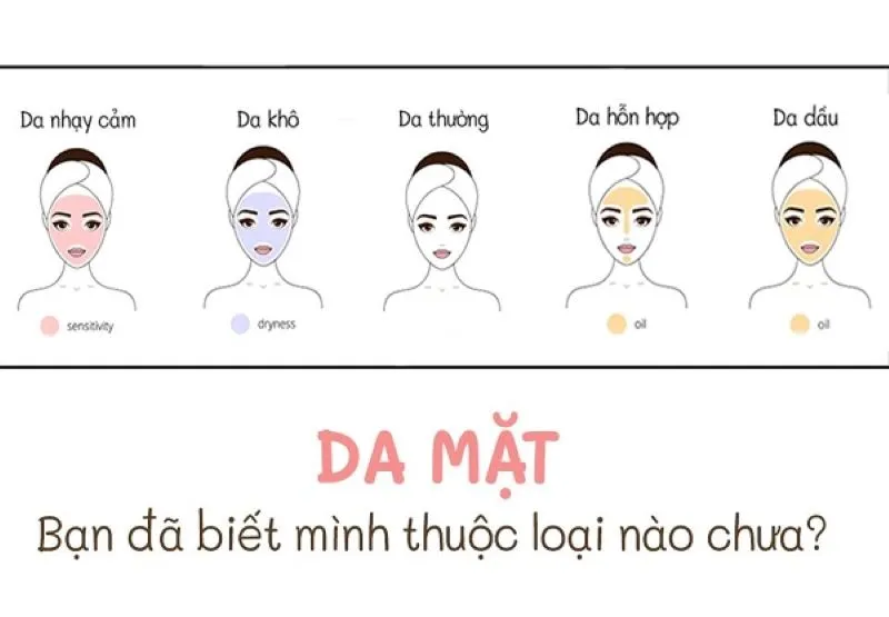 5 loại da cơ bản