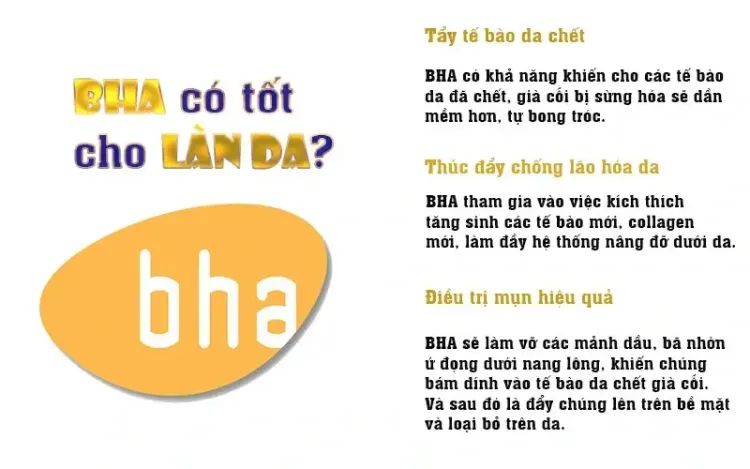 Vai trò của BHA