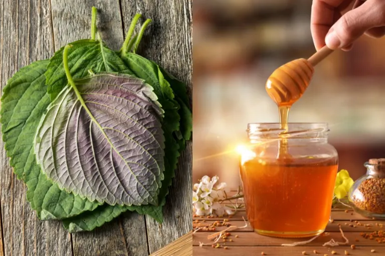 Mặt nạ tía tô mật ong