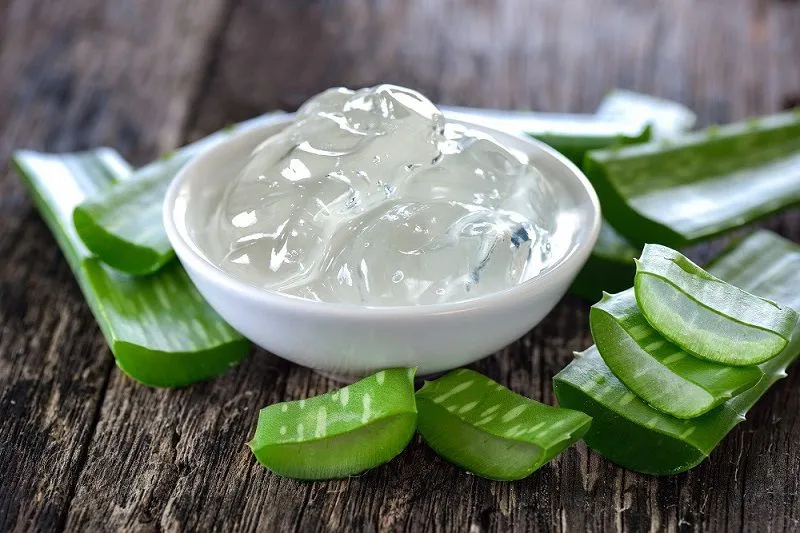 Nha đam có chứa nhiều dưỡng chất giúp làm mờ thâm mụn