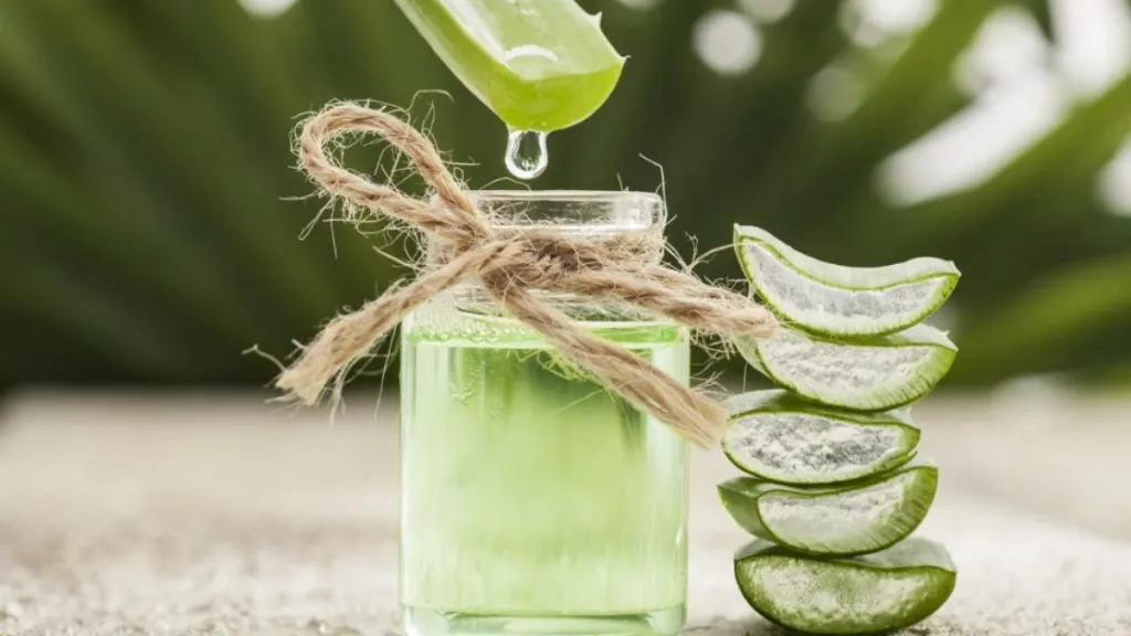 Trích xuất gel nha đam