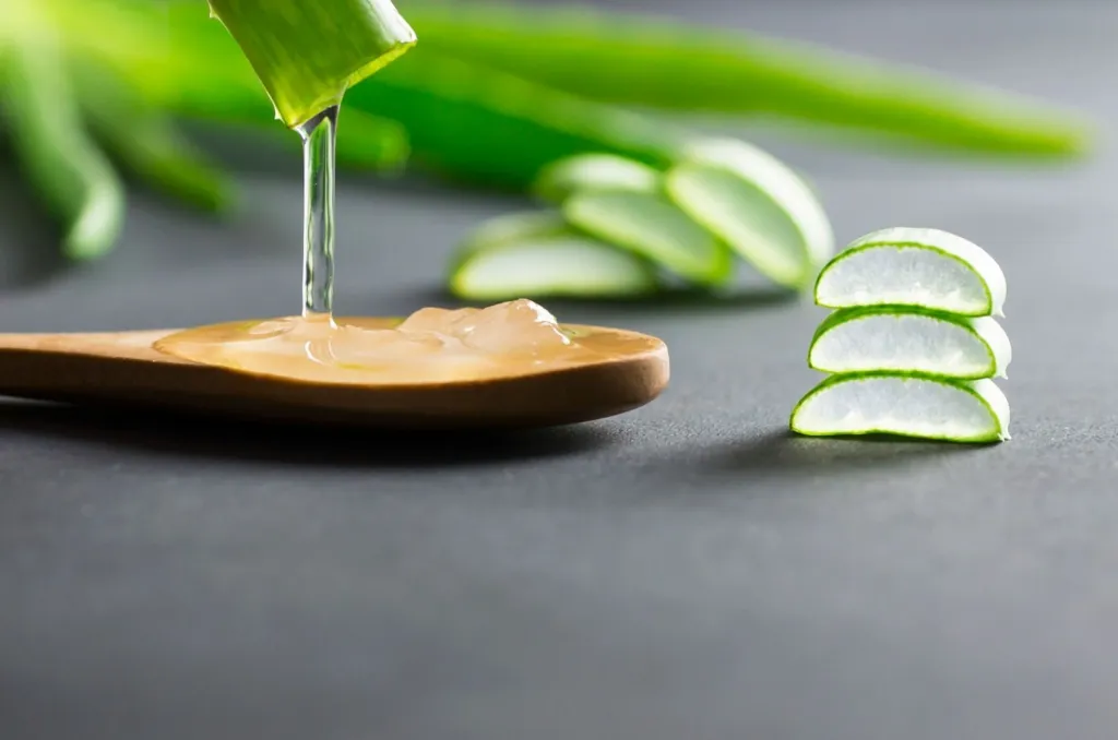 Sử dụng gel lô hội để xử lý mụn li ti ở mông