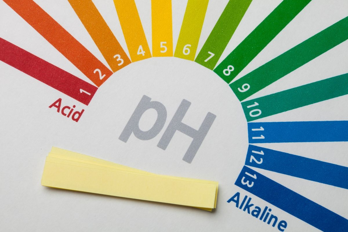 Độ pH