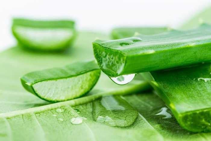 Nha đam có chứa nhiều vitamin và khoáng chất
