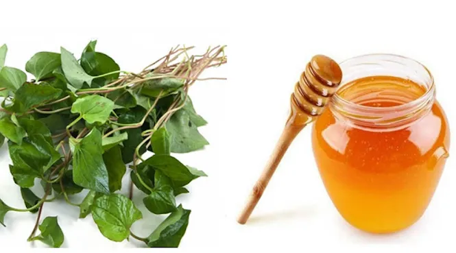 Mặt nạ rau diếp cá và mật ong mang lại hiệu quả trong trị mụn sưng đỏ