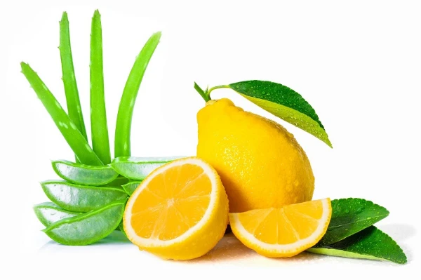 Trị thâm mụn bằng nha đam tươi và chanh