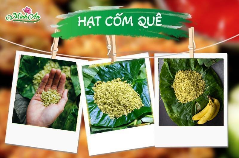 Hat cốm quê hương
