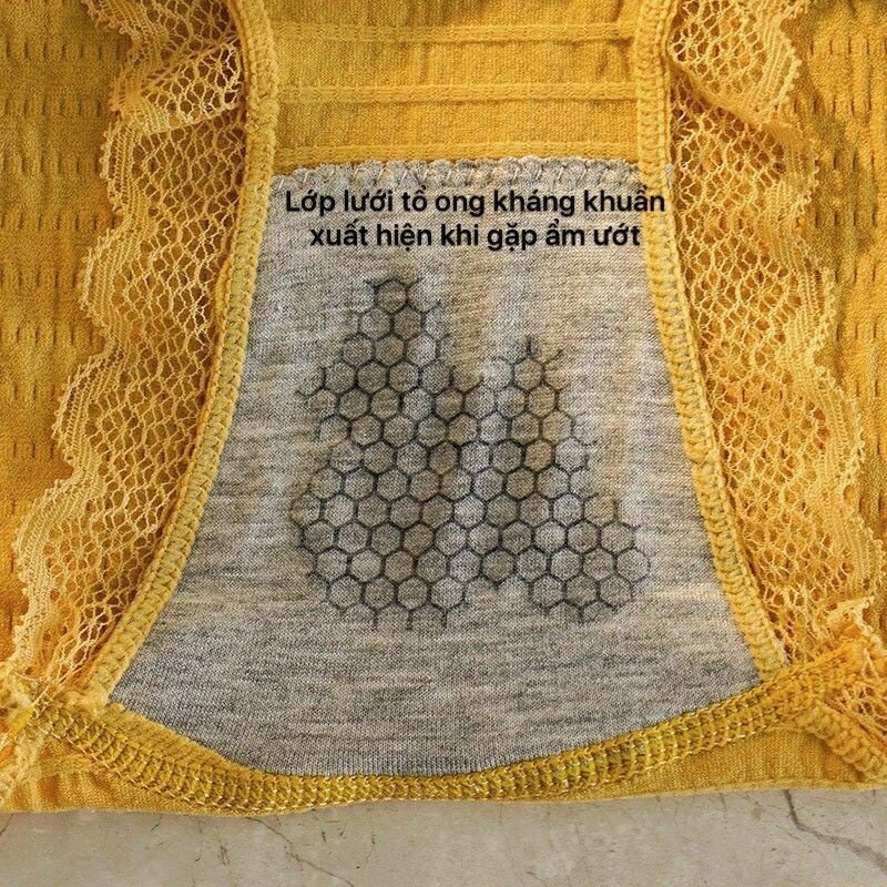 Quần lót nhăn đáy kháng khuẩn