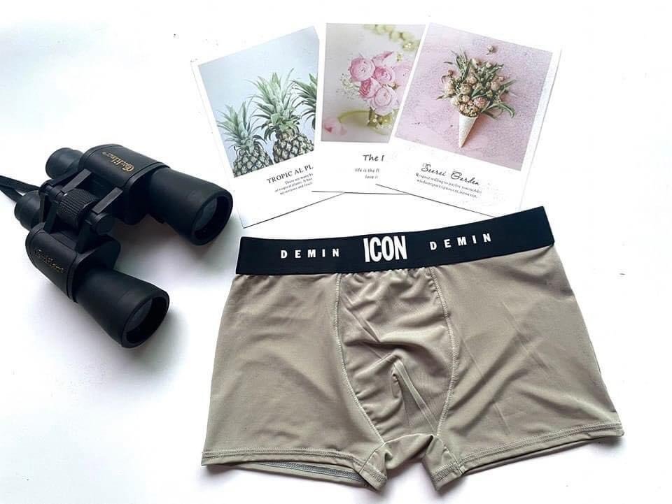Quần đùi ICON thun lạnh