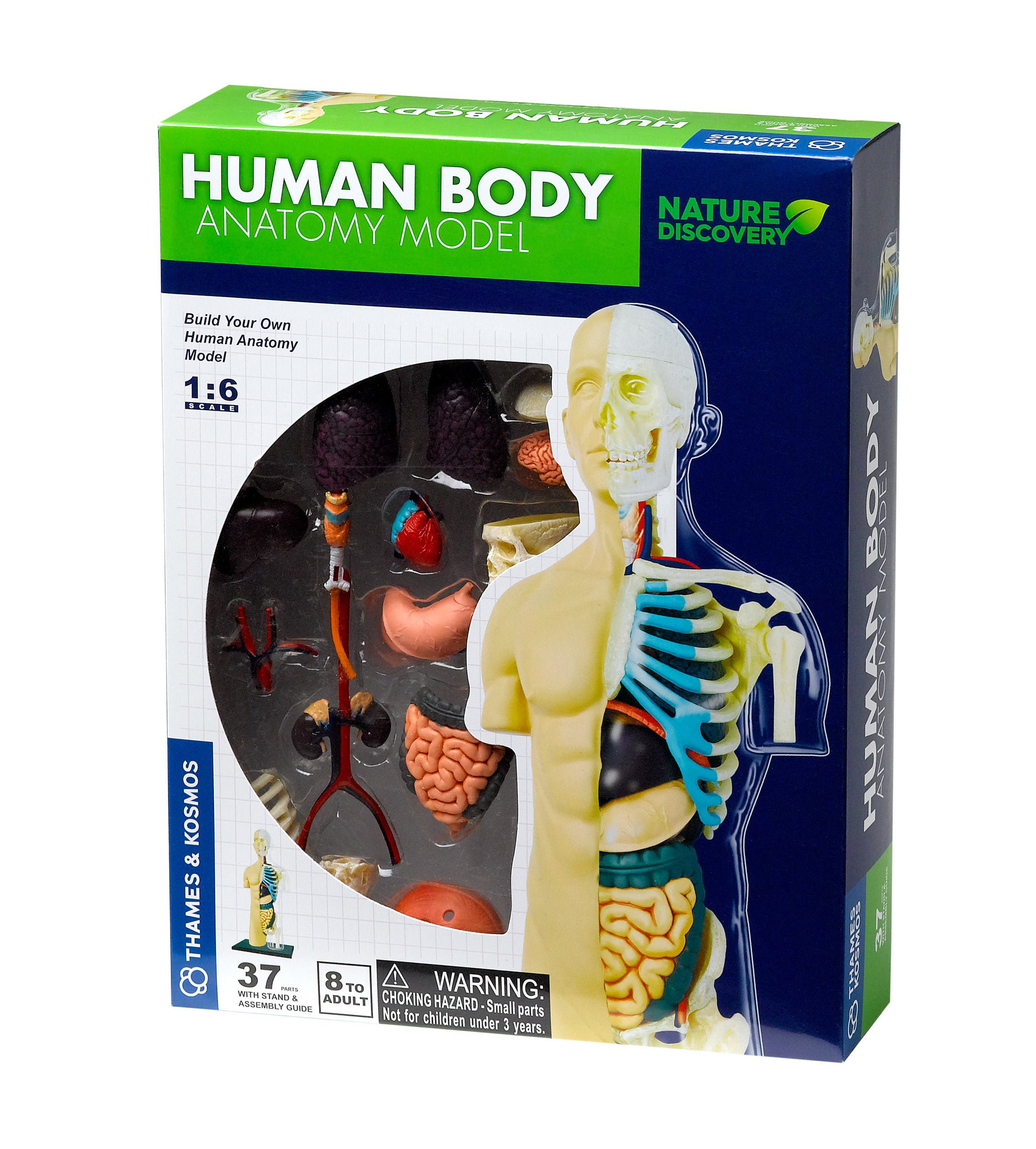 Đồ Chơi Khoa Học Thames & Kosmos - Khám phá cơ thể người