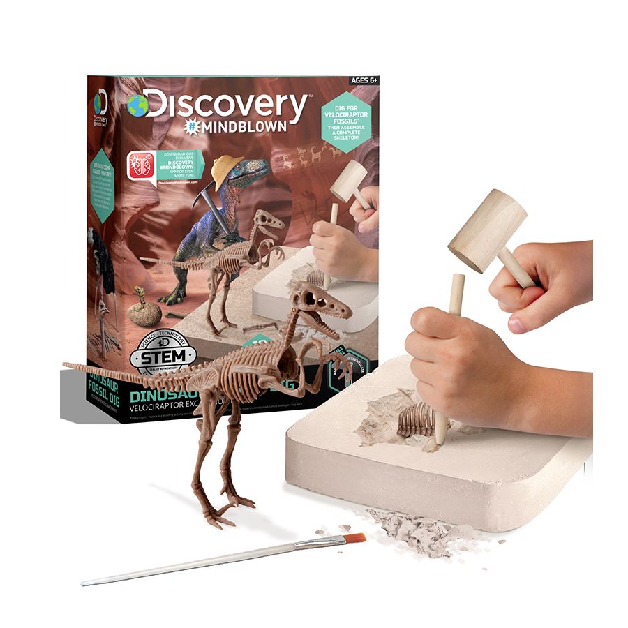 Đồ Chơi Khám phá Discovery - Khảo Cổ Truy Tìm Xương Khủng Long Velociraptor