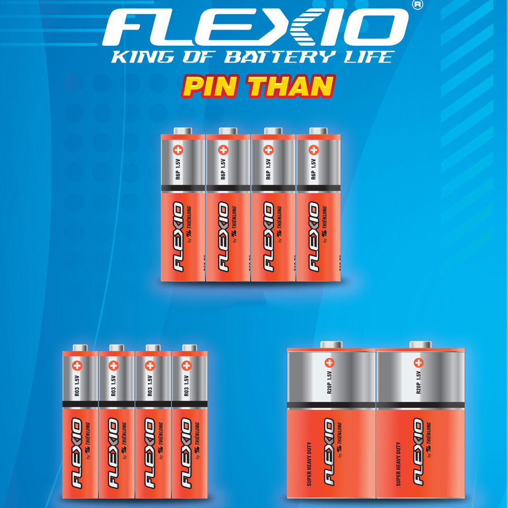 Pin AA, AAA, Pin Đại Size D, Pin Than Carbon 1.5 V Thiên Long Vỉ 2/4 viên Clever Box