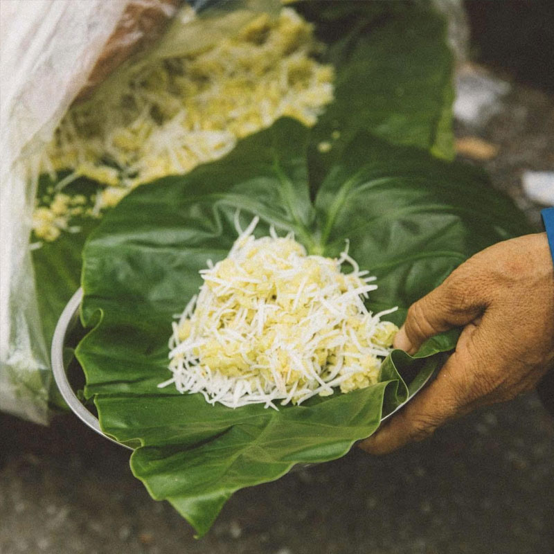Sản phẩm nổi bật