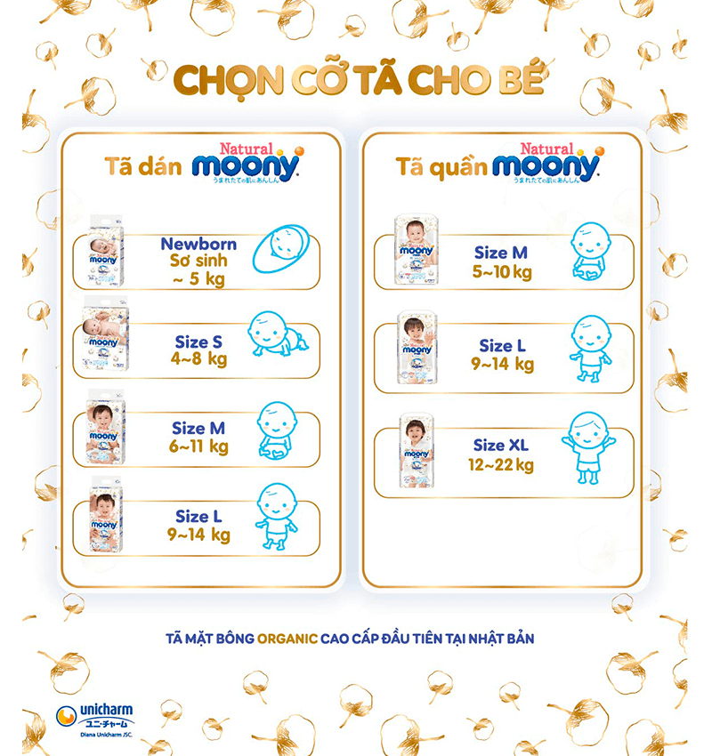 2-415ab7a9-1e9d-42fd-8cae-668f612df631.png?v=1668067950021