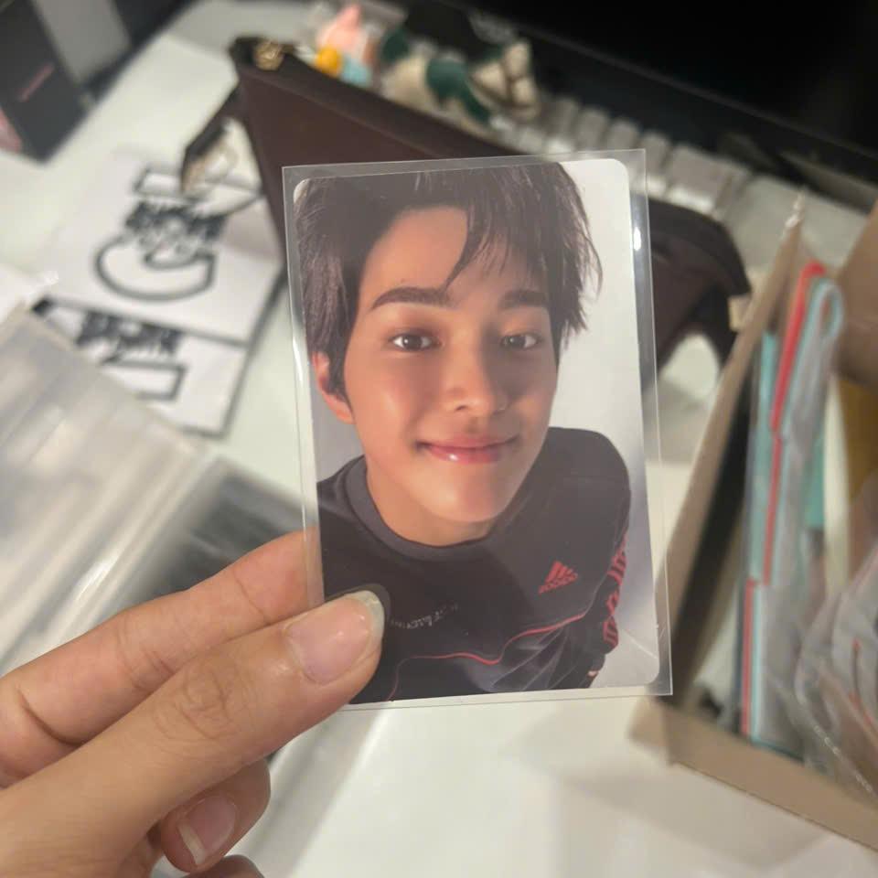 Photocard Cortis GREENGREEN official - Thẻ ảnh bo góc chính hãng